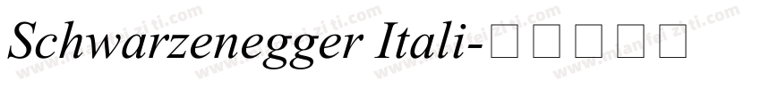 Schwarzenegger Itali字体转换